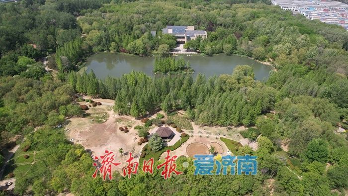 济南森林公园绿意浓，暮春时节展生机