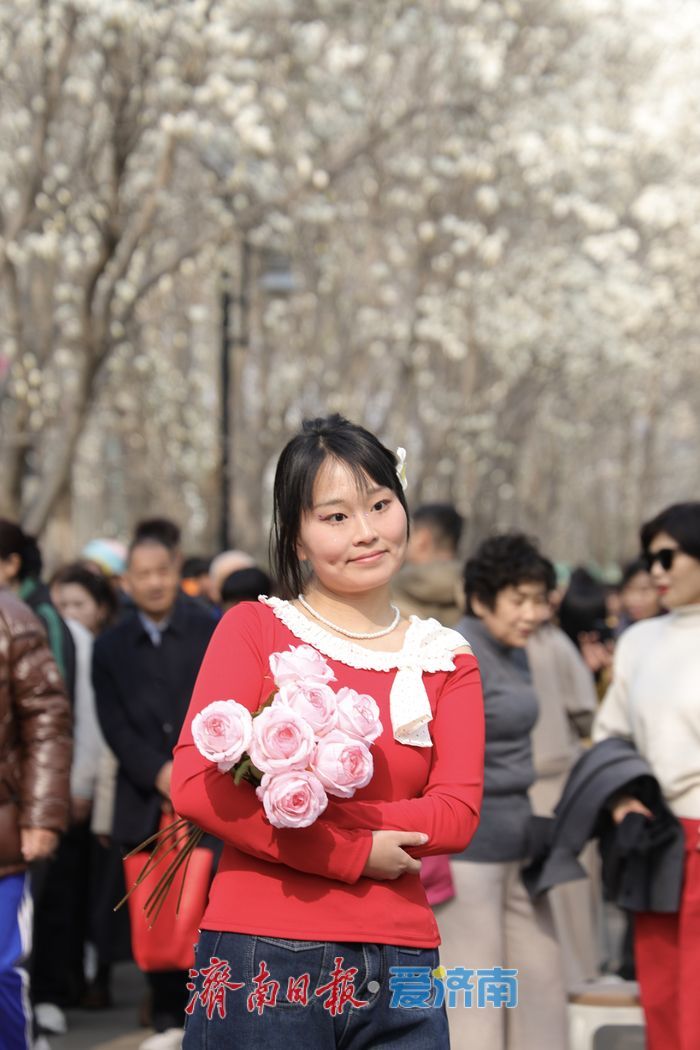 玉兰花开春意浓