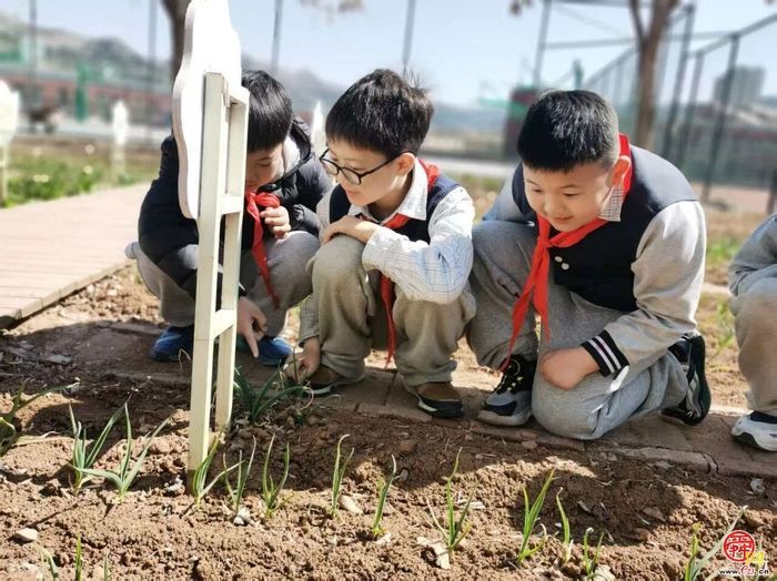 理念引领 实践支撑 根基筑牢——三个关键词，看市中教育如何落实“健康第一”