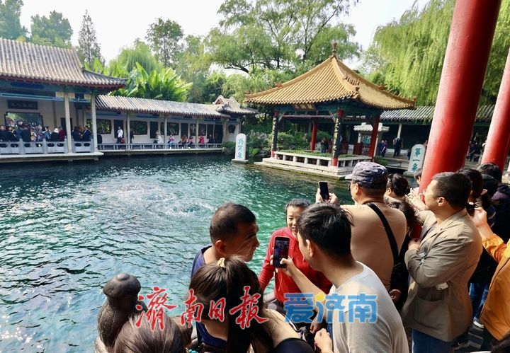 趵突泉畔享春光