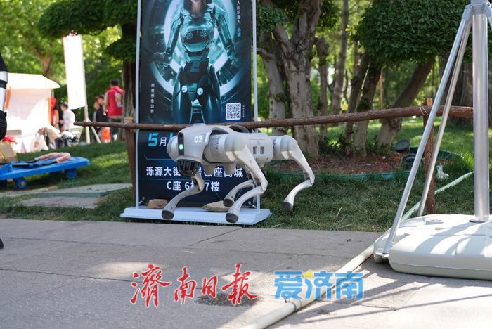 机械狗“空降”大明湖正谊广场，科技萌宠引市民围观