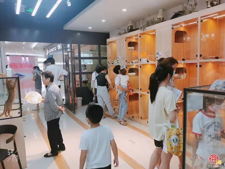 破大防了！80、90后的“顶流男团”空降章丘，一秒穿越小时候……