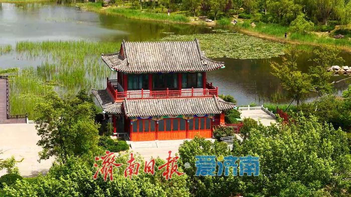 一年四季 泉在济南丨碧波映翠夏意浓！华山历史文化湿地公园“绿境”醉游人