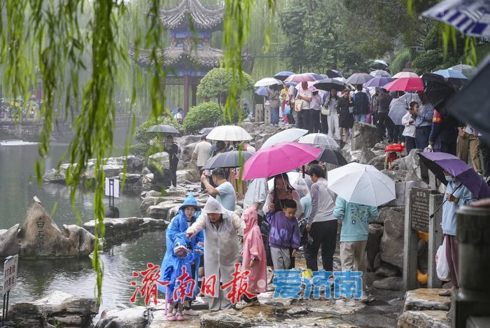 一年四季 泉在济南丨一场秋雨，唤醒鲜活的泉城