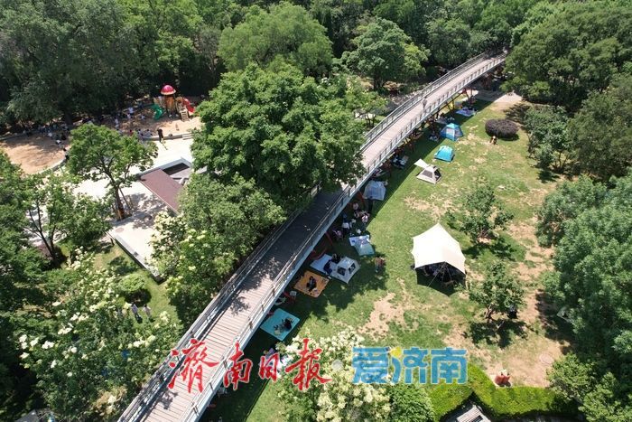 一年四季 泉在济南丨泉城公园绿意盎然，初夏时节展现生态之美