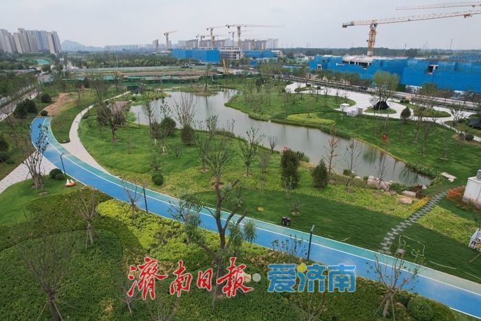项目强省会｜生态休闲再升级，济南东站片区绿地公园向市民开放