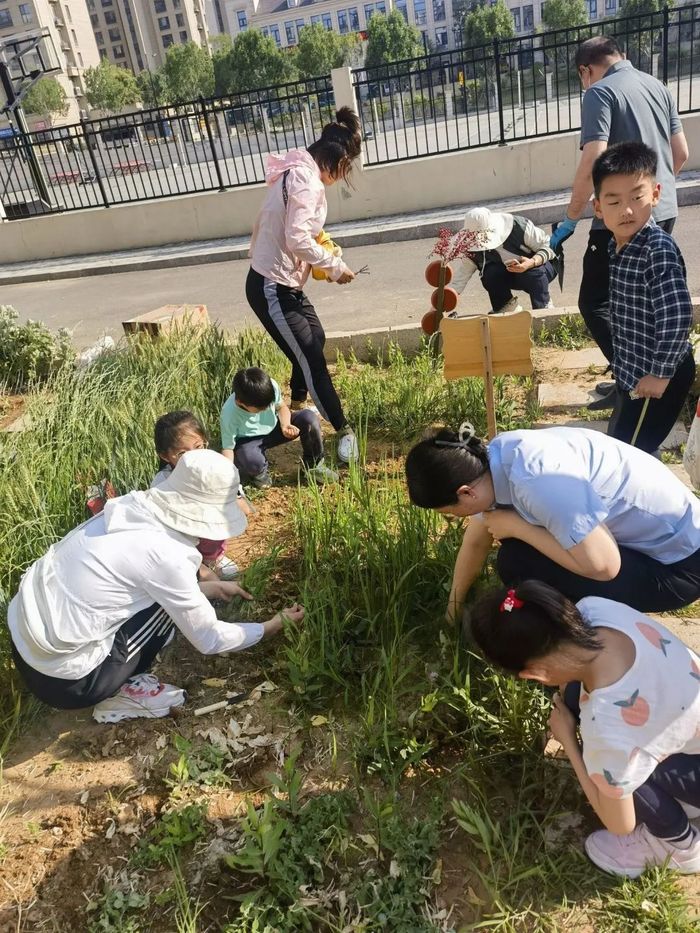 亲子同耕种！山大附中瀚阳学校上了一堂特别的劳动课