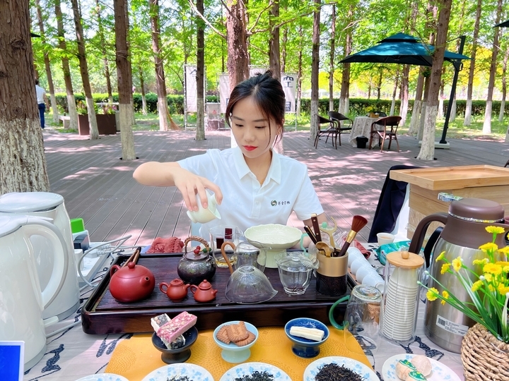 新晋打卡地！济南鲜花港万平花海美到炸