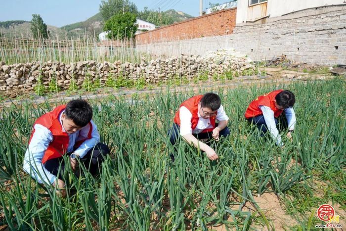 党建引领践初心 关爱特殊儿童主题党日活动圆满完成