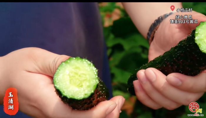 点击进入DeepSeek眼中玉清湖街道！