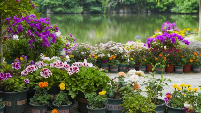 济南南山:“花花世界”正好看