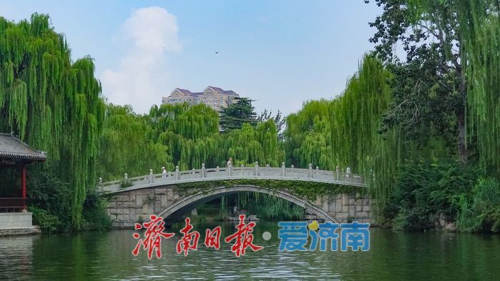 漫步明湖南岸 邂逅秋日湖柳风光