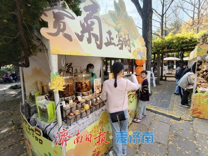 菊香引路，趵突泉畔“玉露雅集”乐享多元体验