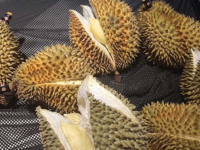 “水果之王”降价，济南市场每斤最低只需20余元