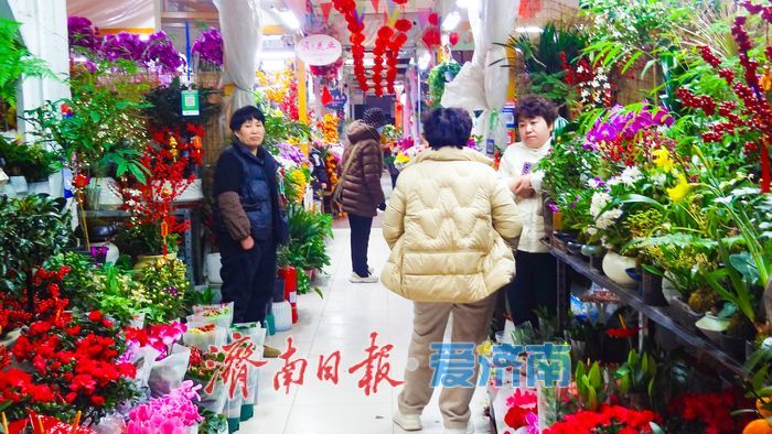 马年添芳气 花市启新程 济南老东门花卉水族市场年宵花销售掀热潮