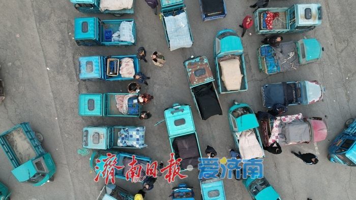 晨光下的车水马龙：黄瓜批发市场开市忙