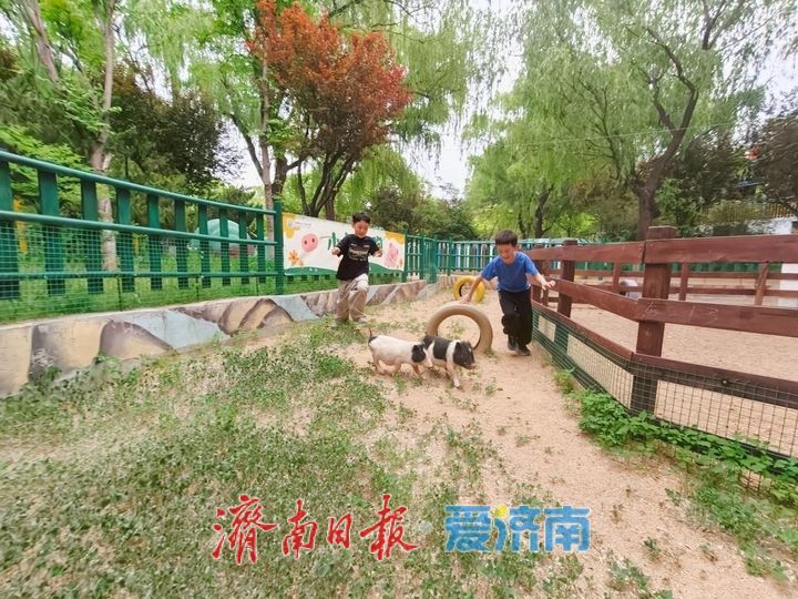 济南野生动物世界“五月遛娃节”启幕 超值优惠解锁初夏亲子新体验