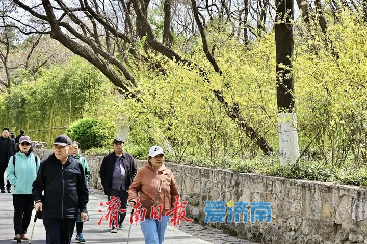 又是一年春好处 踏青赏花醉游人