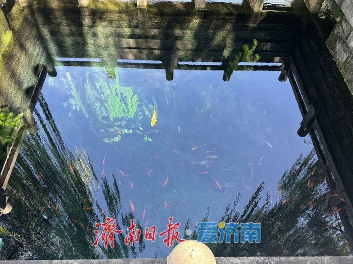 一年四季 泉在济南丨黑虎泉水位创新高 玛瑙泉瀑布惹人醉