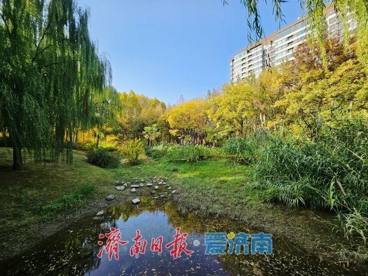 一年四季 泉在济南丨秋色惹人醉 公园秋日美景处处出大片