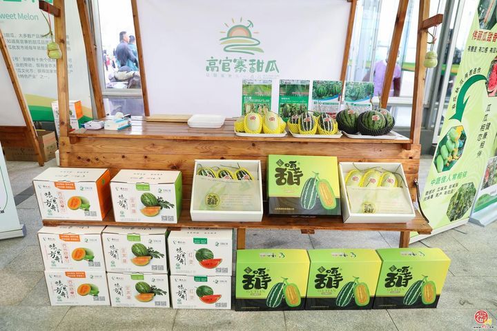 甜蜜风暴席卷高官寨！谁是最强“甜瓜王”？——2026年高官寨甜瓜季种植能手评选鸣锣开赛