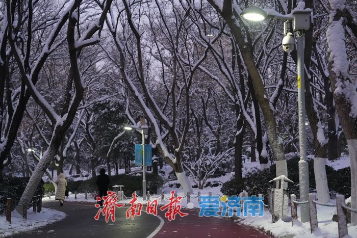 初雪勾勒“冰雪秘境” 泉城公园变身冬日热门打卡地