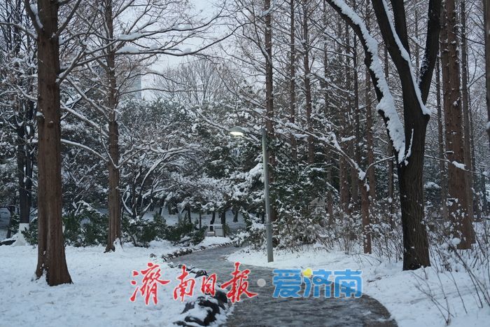 初雪勾勒“冰雪秘境” 泉城公园变身冬日热门打卡地