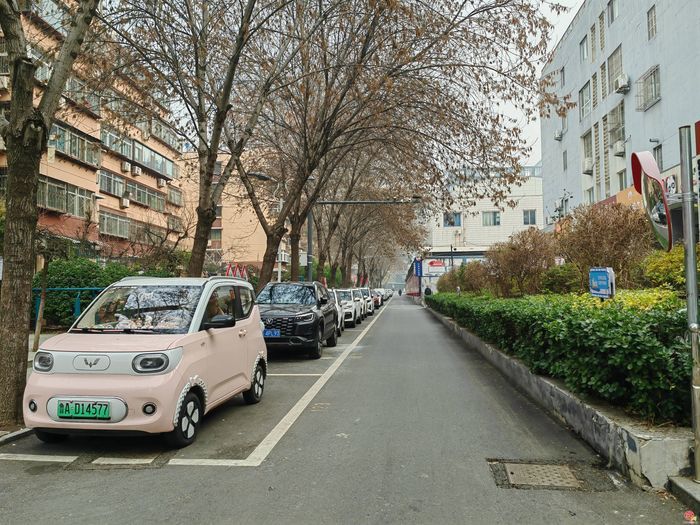 扎根基层20年 社区书记刘云香眼里的“民生小事”