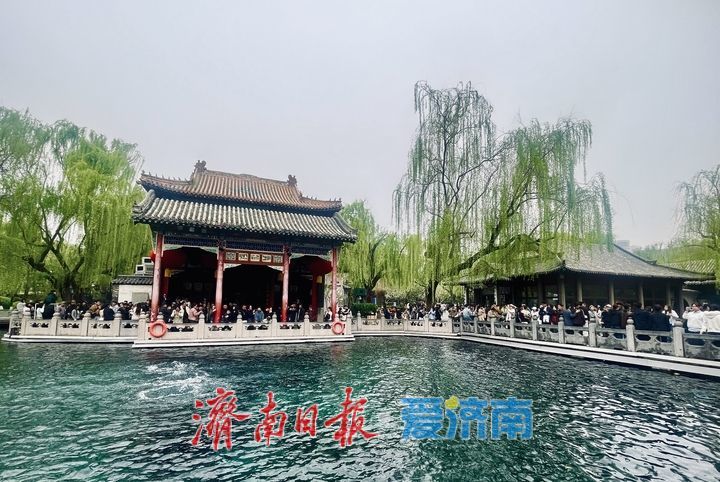 趵突泉水位同比高出一米 “三股水”喷涌引客来