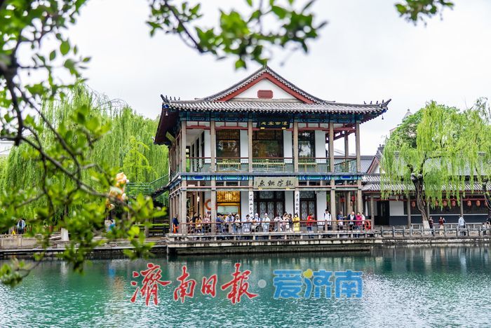 一年四季 泉在济南丨千泉竞涌，泉水叮咚 勾勒泉城独有灵动诗意