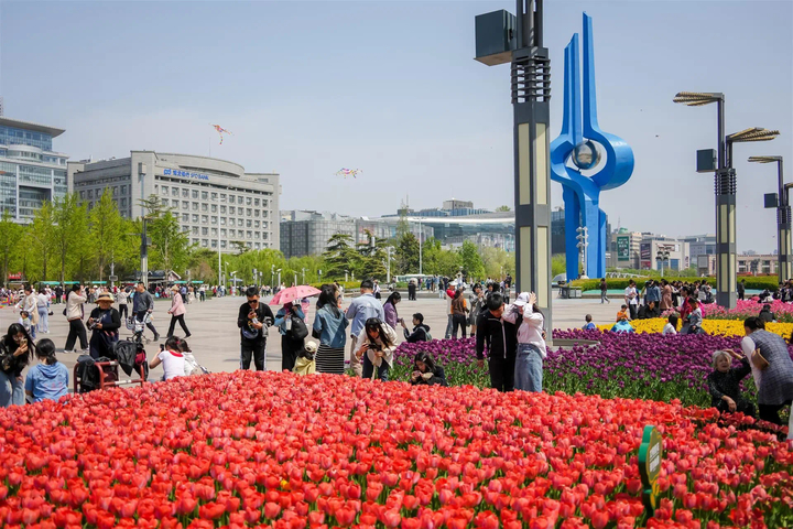 “泉”在济南过五一｜小长假，一到济南就玩嗨？