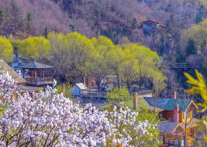 假期第二天文旅市场持续升温 22家景区共接待游客56.4万人次
