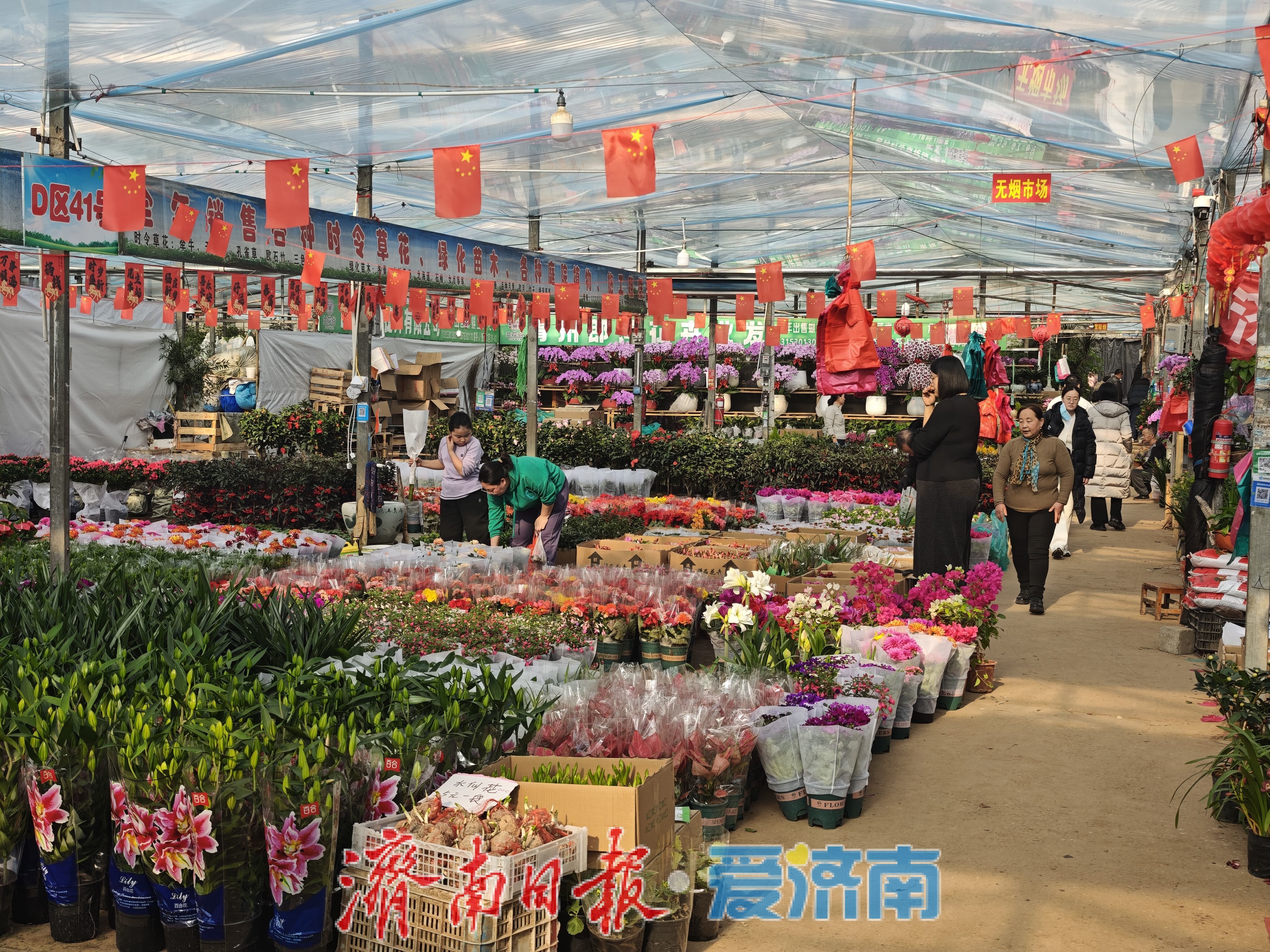 ���ϸ��������г��껨���ۻ��ȣ�����������װ����׷��