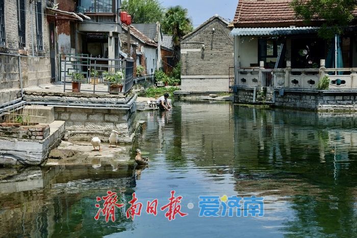 一年四季 泉在济南丨天光云影入泉来 王府池子展神韵