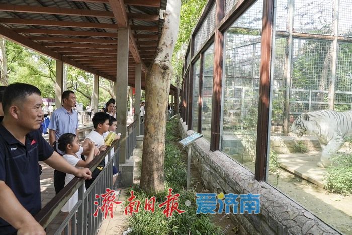 一年四季 泉在济南｜济南动物园暑期人气旺，亲子游成主流