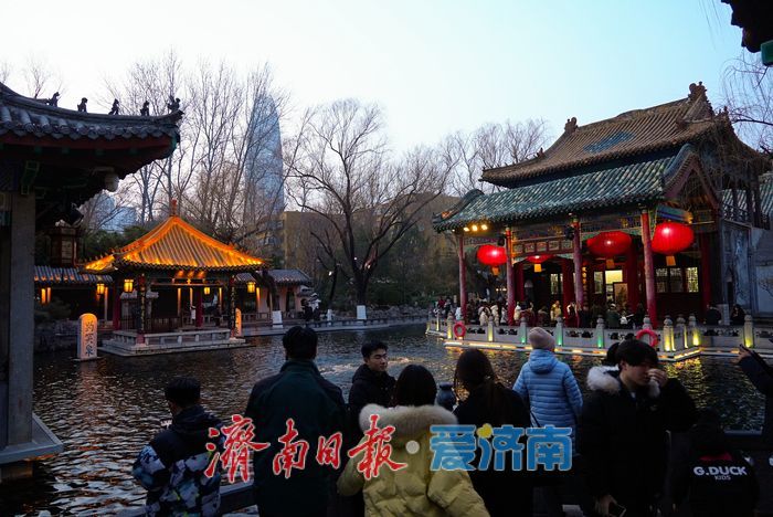 华灯初上，趵突泉漾起满池 “金花”醉游人