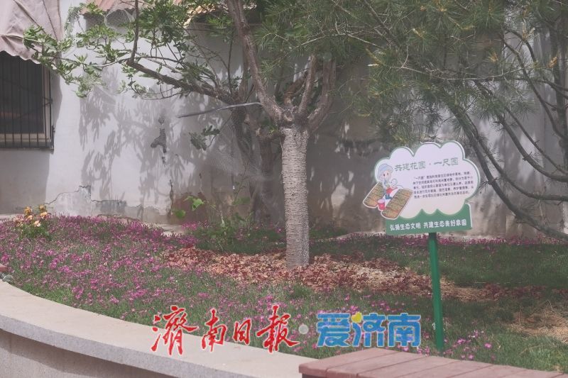 方寸之地绽新颜，