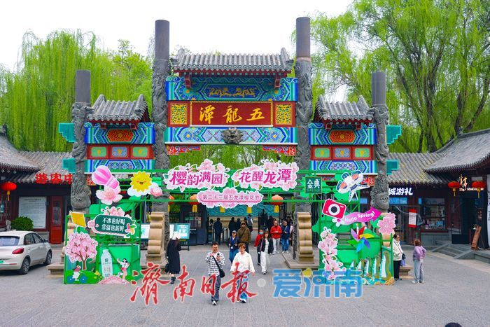 晚樱盛放续春意 五龙潭再迎赏樱高潮