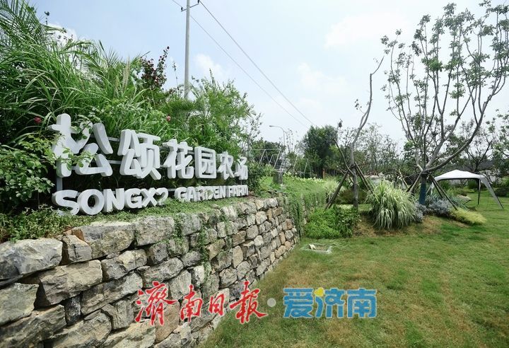 离城市不远、离自然很近，济南马山百里田园度假区鲤村即将试营业