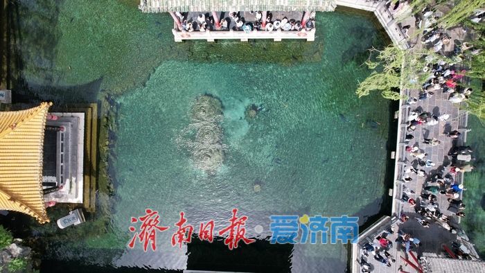 谷雨泉涌趵突盛 清泉映花入画来