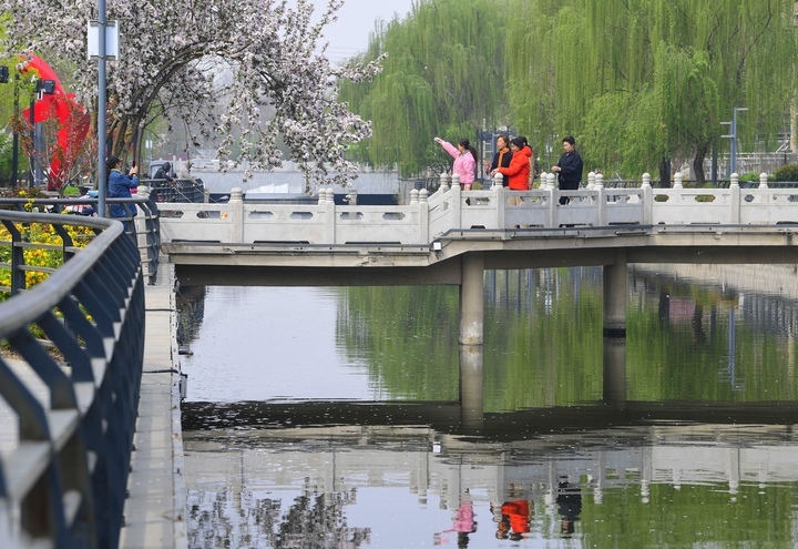 春色美如画，济南百年工商河开启“美颜”模式