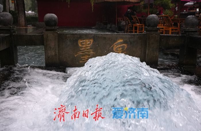 一年四季 泉在济南丨喷“嗨”了！墨泉雨中喷涌如沸 再现“一泉成河”壮丽奇观