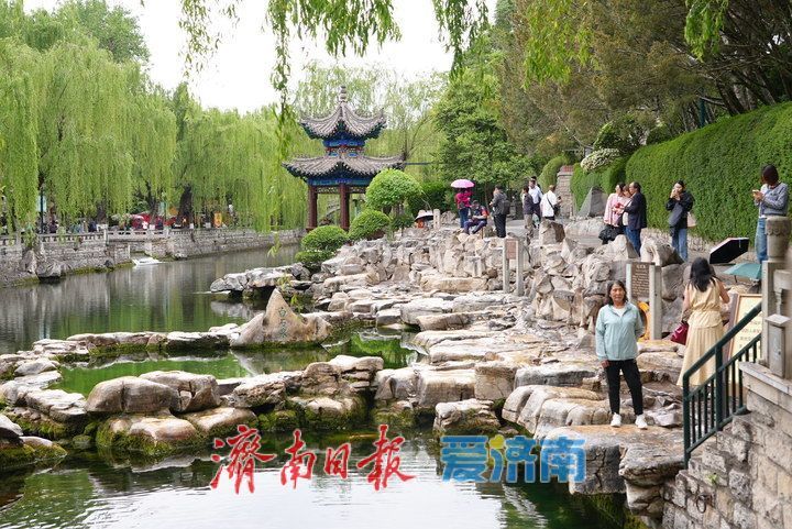 夏雨润泉城 画意护城河