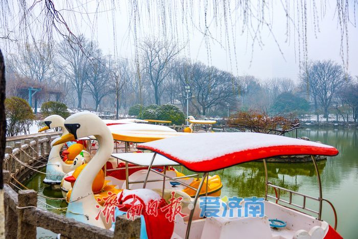 雪落泉城春意闹 新年盛景入画来