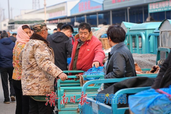 晨光下的车水马龙：黄瓜批发市场开市忙