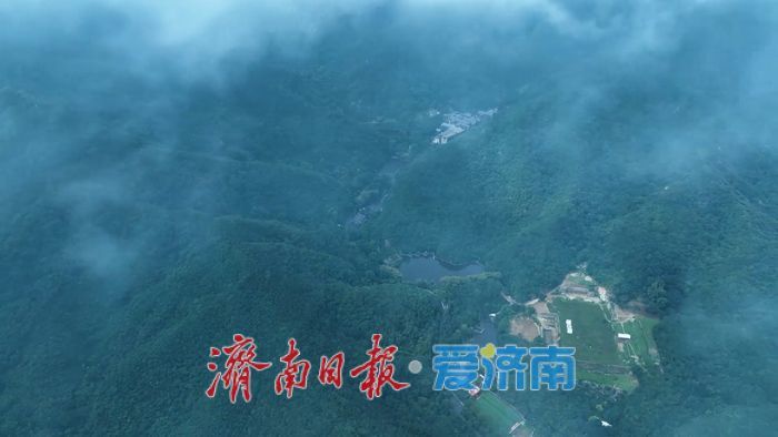 一年四季 泉在济南丨济南九如山雨后云海奇观：云雾缥缈宛若仙境