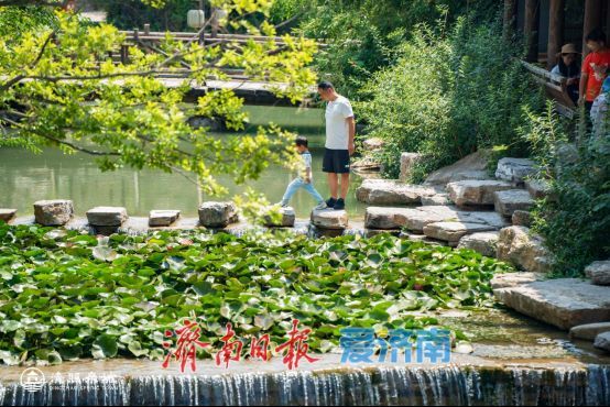 清照泉城开启夏日主题活动18℃泉水解锁宋韵清凉度假