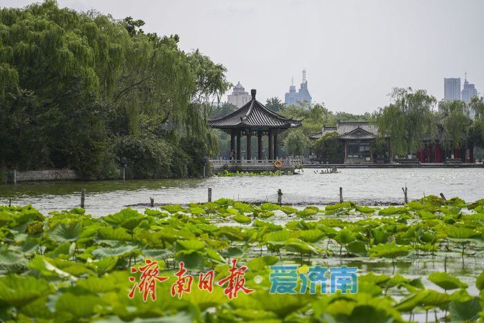 一年四季 泉在济南 