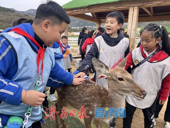 卢南村农场变身“萌宠乐园”！亲子解锁沉浸式互动新体验