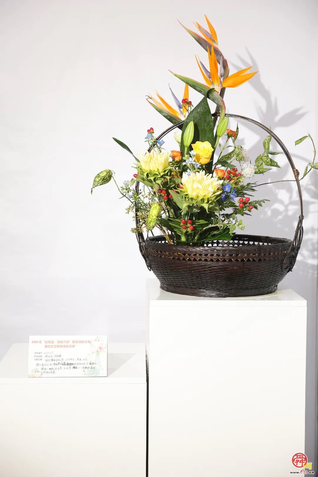 与鲜花相逢，共赴“花漾”之约